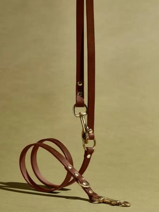 Adjustable Long Leather Dog Lead - Brown