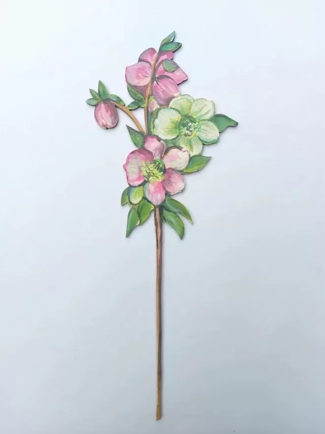 Hellebore Single stem flower handpainted by Amy Swann