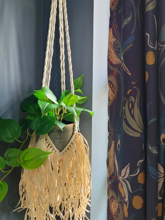 Paper raffia light macrame plant hanger made using natural Eco-friendly raffia paper for houseplants to hang indoors from wall and ceilings to create a stylish and textured interior ambience