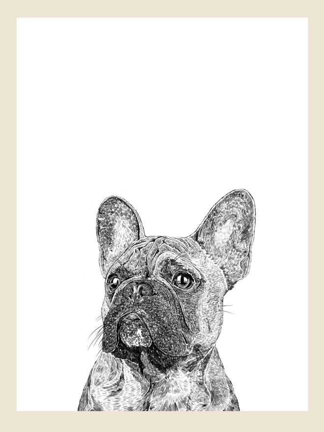 Artwork of the French Bulldog art print