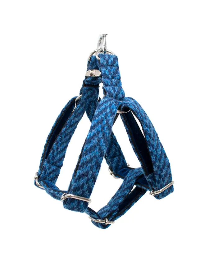 navy dog harness on white background