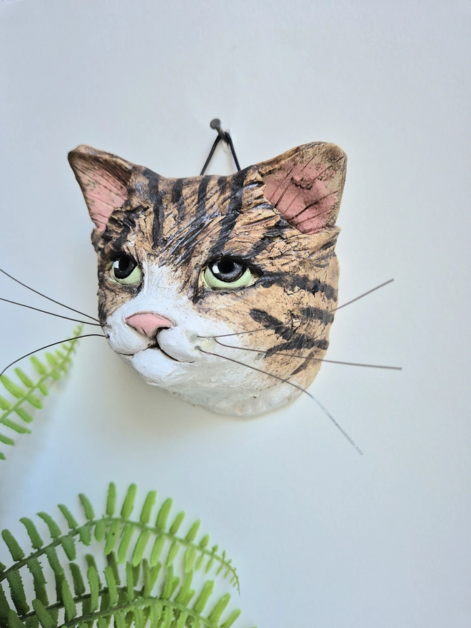 Tabby and white cat with green eyes 