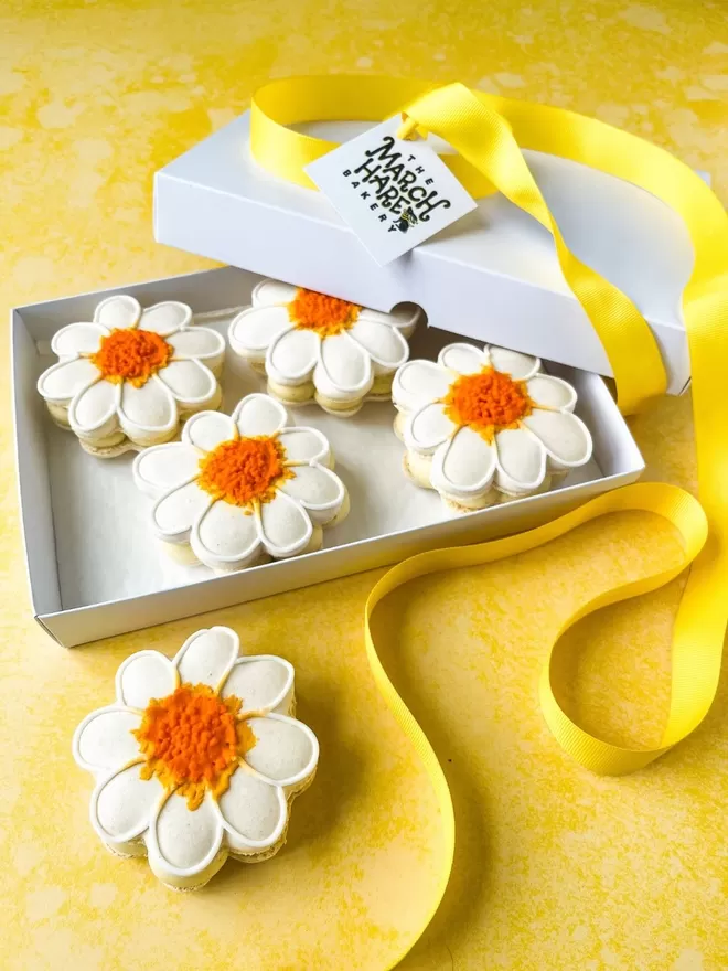 four white and yellow daisy macarons in a box  with a yellow ribbon on a yellow background
