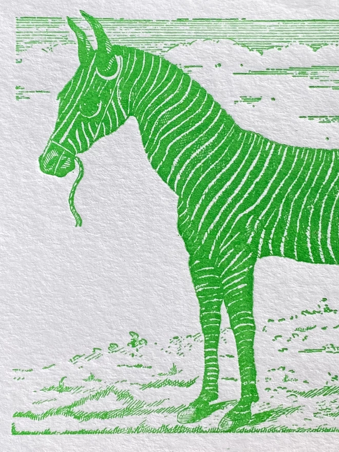 Close up of white card with green illustration of a zebra