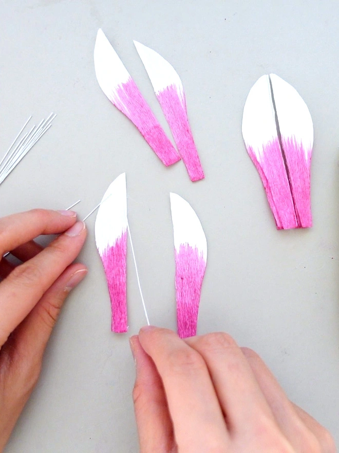 Crepe Paper Cyclamen