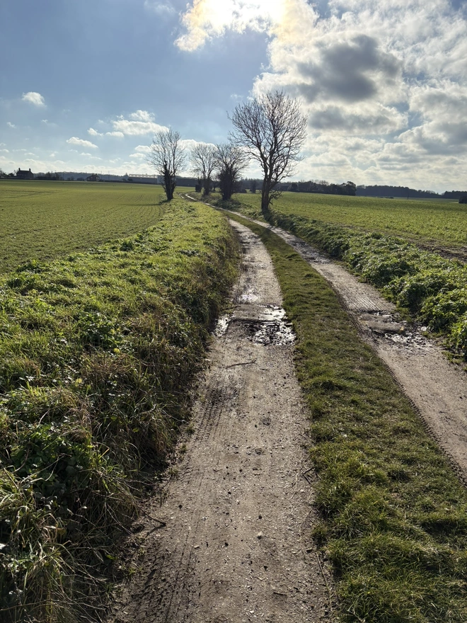 Norfolk 'n Way