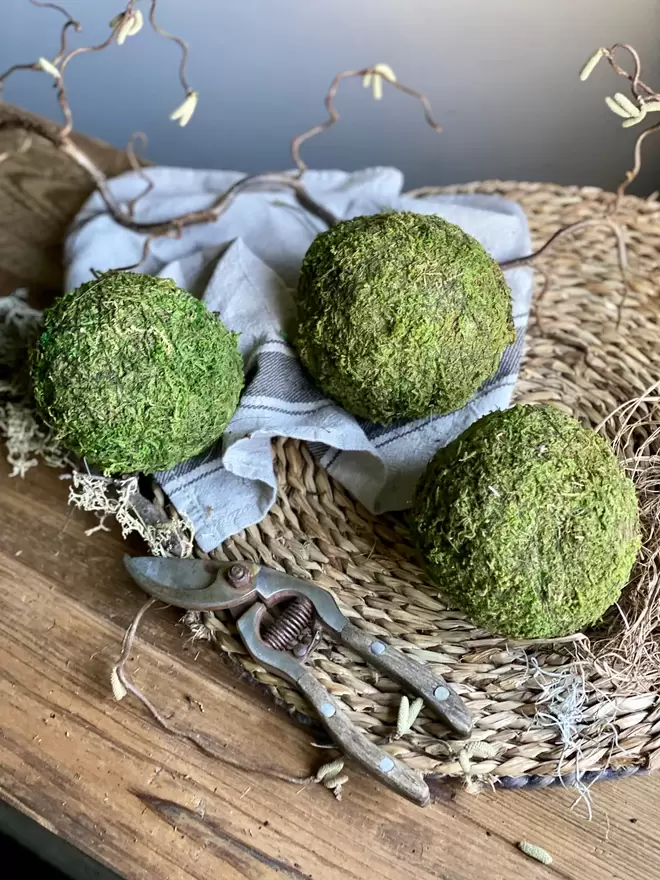 Three Moss Balls sit on a round rush place mat alongside a vintage white tea towel and small silver secateurs.  A scattering of delicate newly budding twine and moss sits alongside.