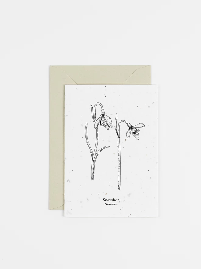 Snowdrop January Birth Flower Plantable Card