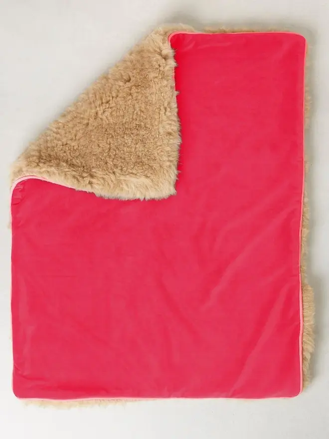 dog travel plushy cushion