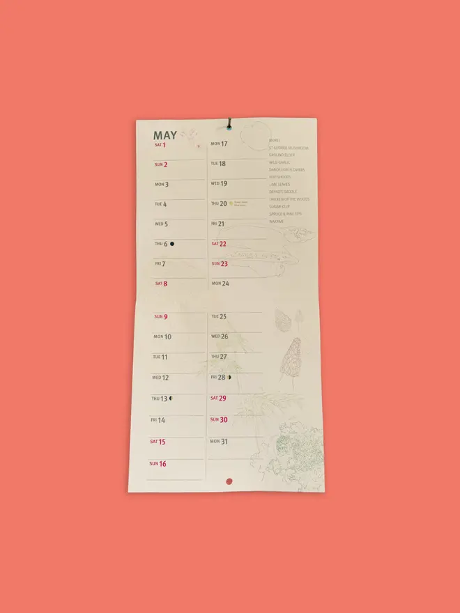 Fungi, Berries & Wild Plants 2027 Calendar, on a pink background. 