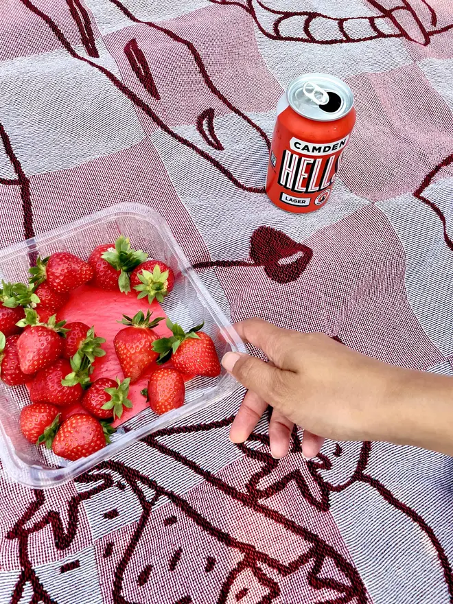 Pink Picnic Blanket