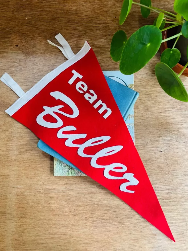 A red and white pennant flag with the wording Team Buller, on a wooden table with a plant.