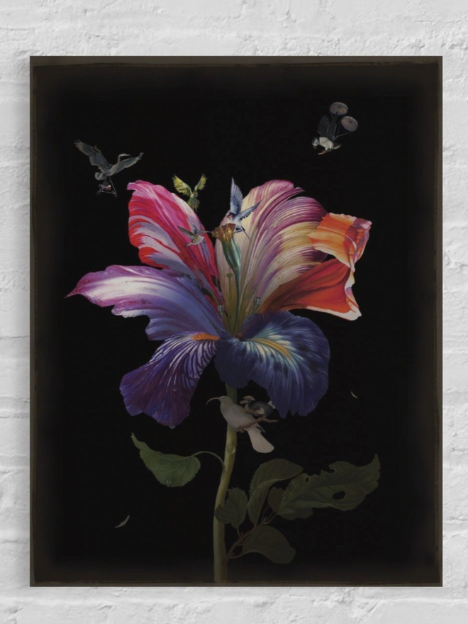 Uncommon kiss print