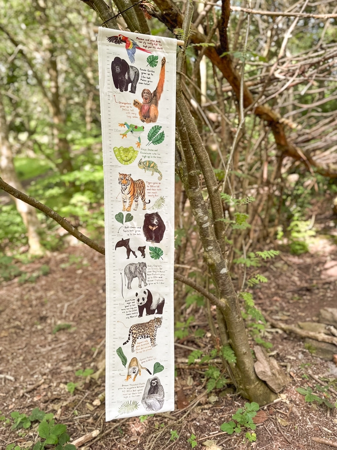 jungle fabric height chart hung in a tree in the woods