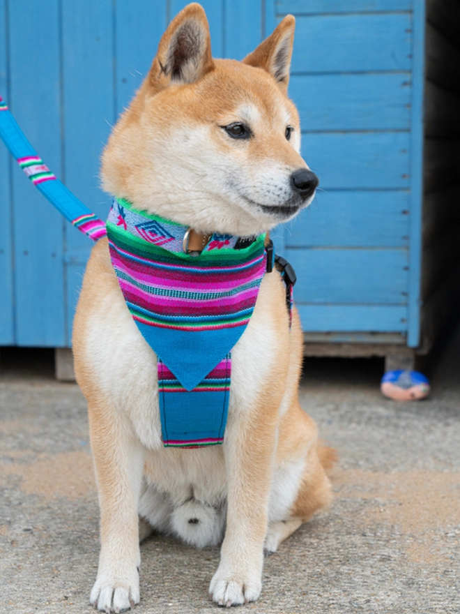 Hiro + Wolf Inca Blue handmade dog bandana