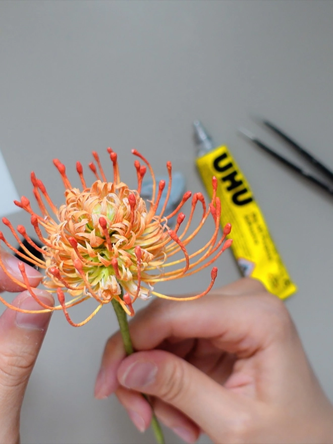 Crepe Paper Pincushion Protea DIY Kit