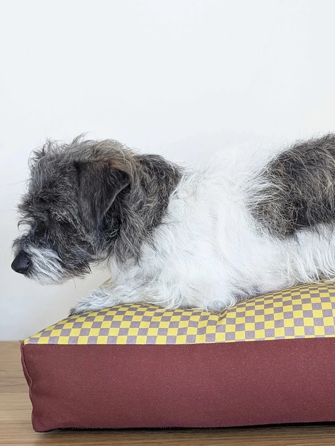  Printed Cotton Patterned Dog Bed, a dog sitting on a patterned dog bed on a tiled floor in front of a white wall. 