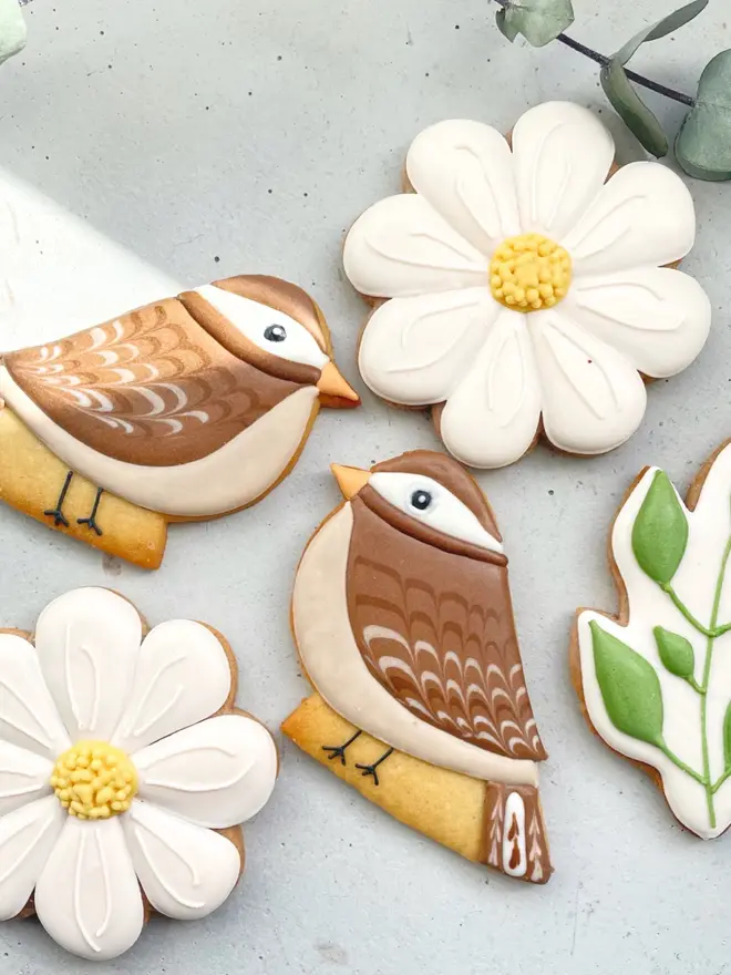 Spring Bird Biscuits