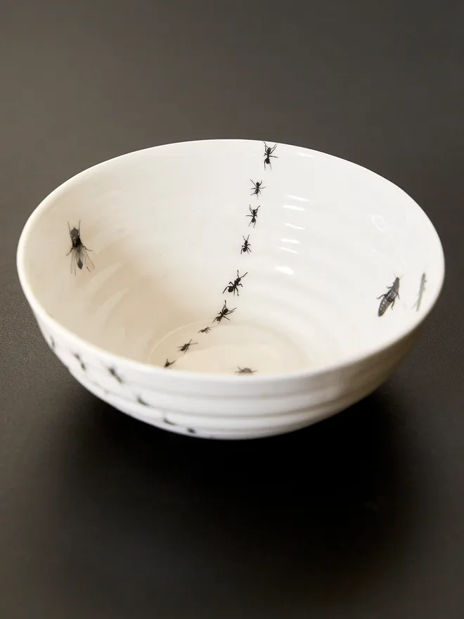 Insect ceramic bowl