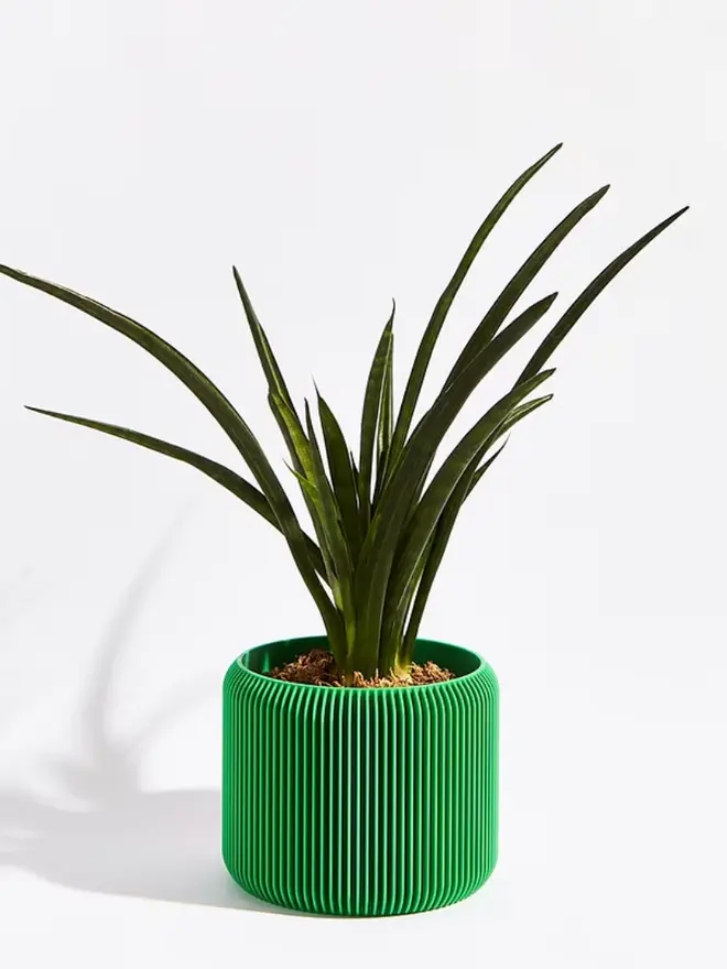 Sustainable 3D Printed Bamboo Green Plant Pot, turbin design against a white background.