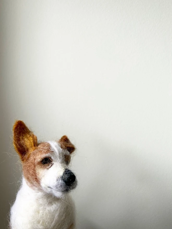 merino wool jack russell pet portrait