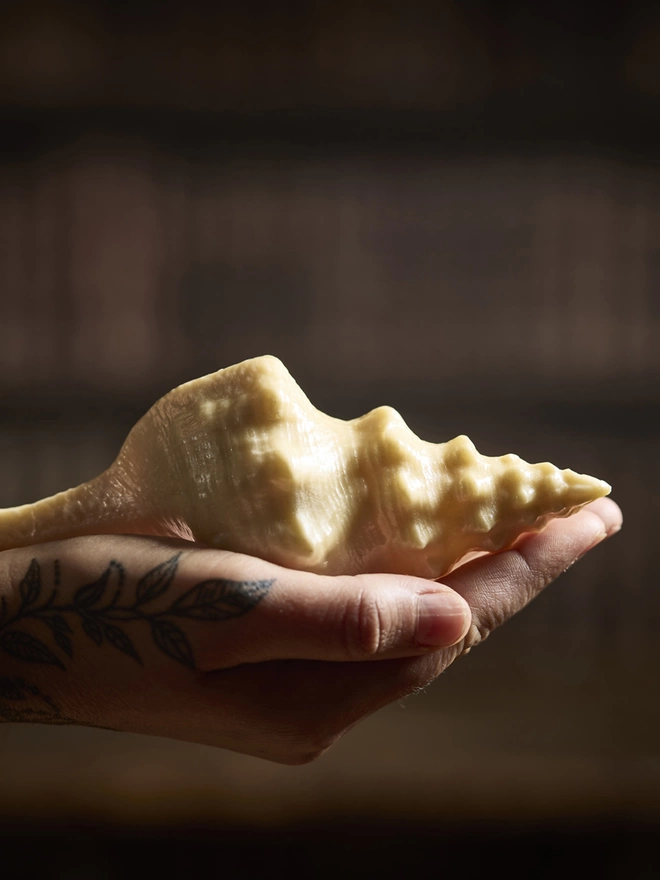 Large conch sea shell made in white chocolate sitting in woman's hand