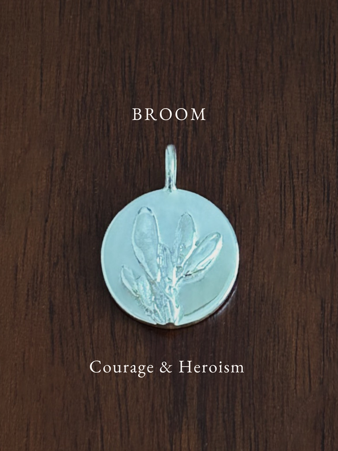 Sterling Silver Broom Coin Charm on a dark background with the language of flowers meaning, courage and heroism