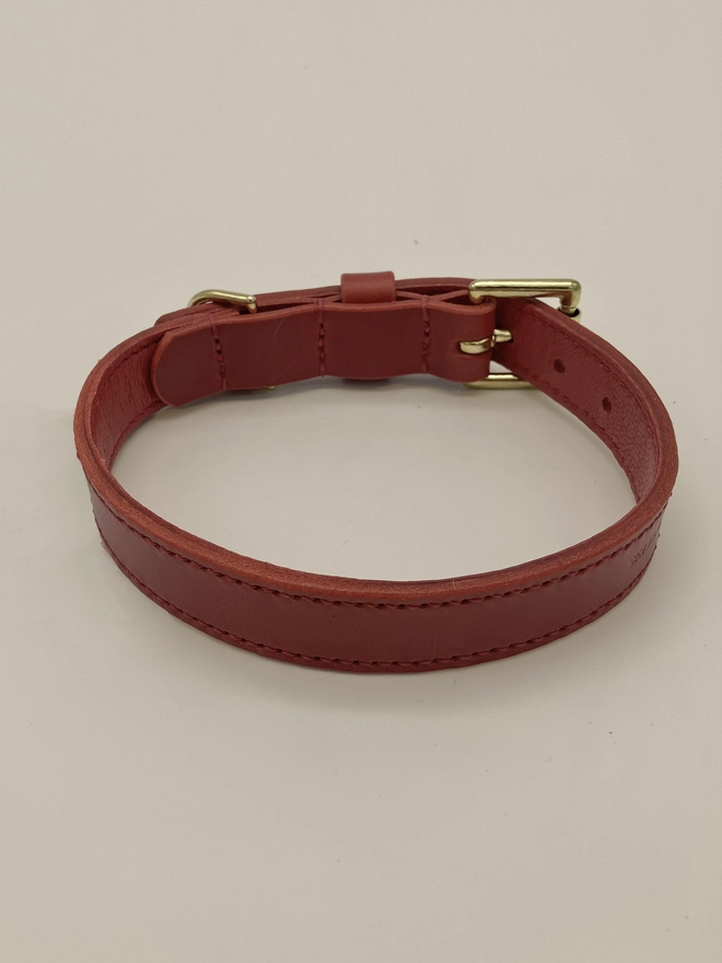 rear view of  red leather dog collar