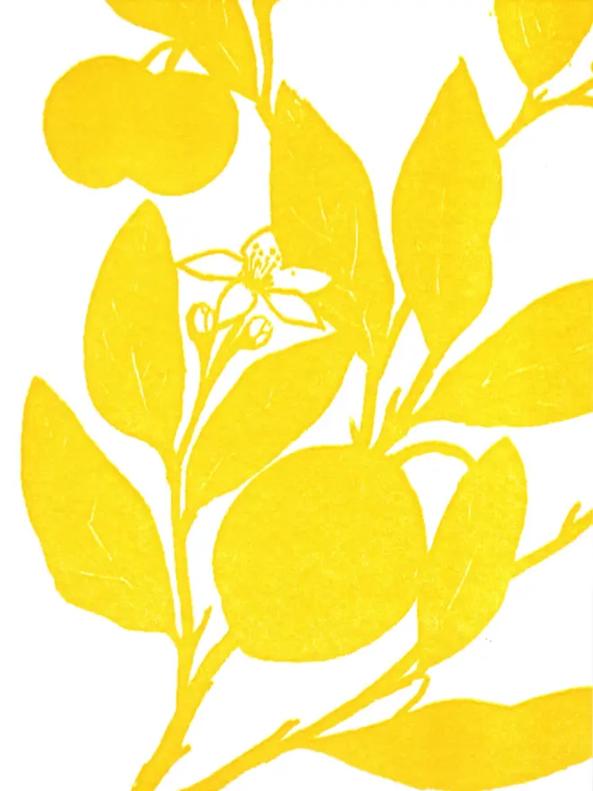 Close up of design on front of card. Monochrome yellow flat shaded artwork of section of lemon branch with visible leaves, flowers and fruit