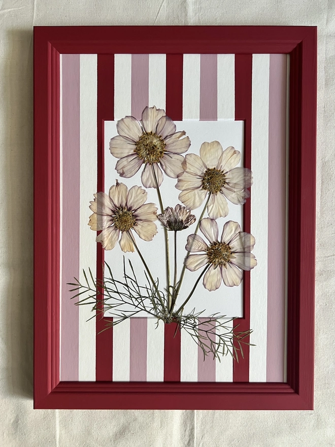 pressed cosmos flowers in hand painted green frame and painted stripe mount