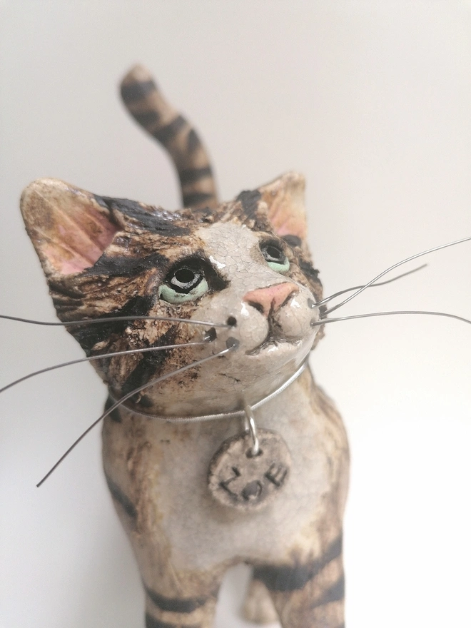 'Zoe' Brown with white crackle Tabby Cat