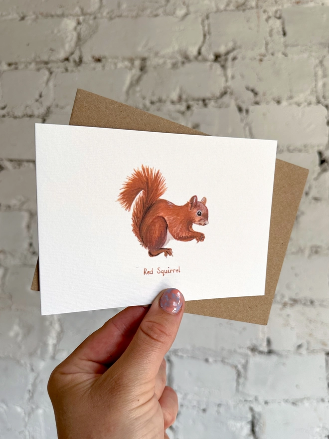  A greetings card featuring an illustrated red squirrel with a brown kraft envelope