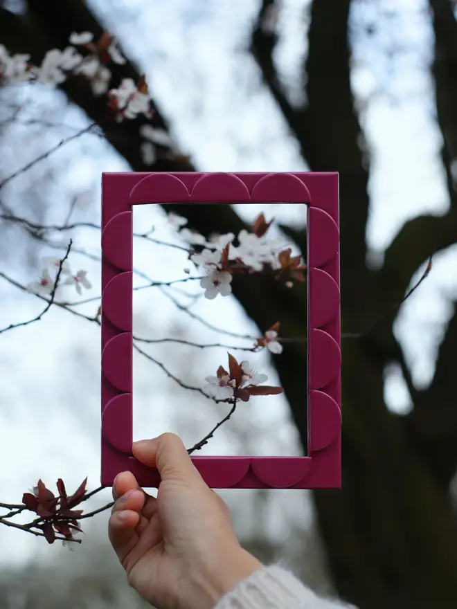 orchid scalloped frame