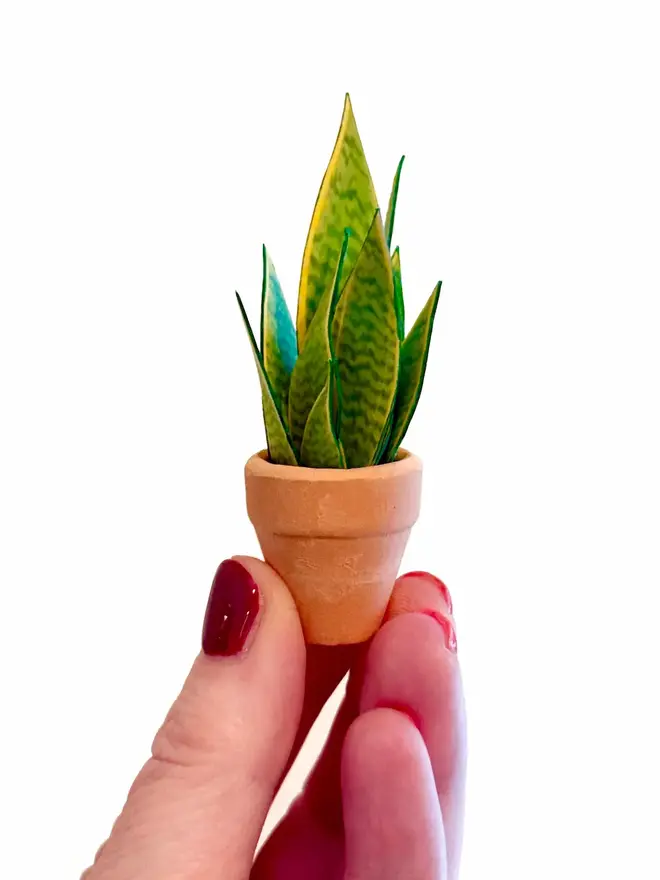 Finished Paper Snake Plant