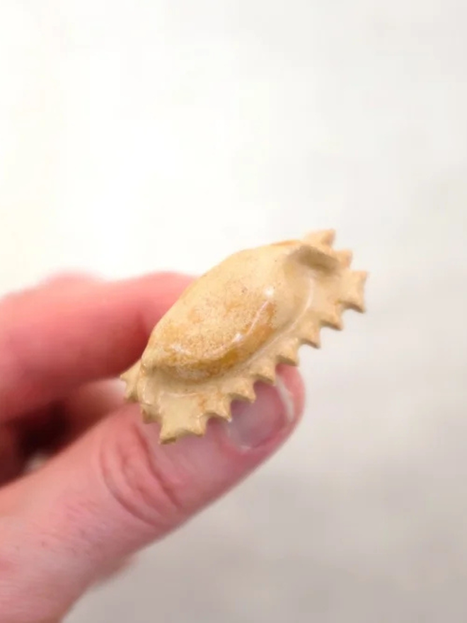 ceramic pasta magnet. a ceramic agnolotti magnet on a fridge door.