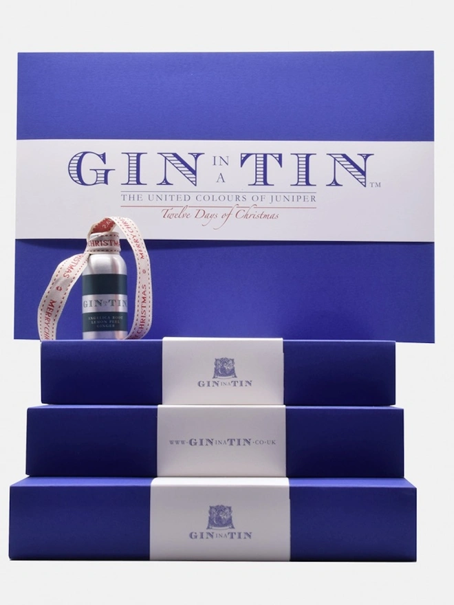 12 Days Of Christmas Gin Box