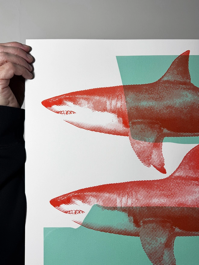Shark Tank_Large Screen Printed Poster_Holly and Co_left close up