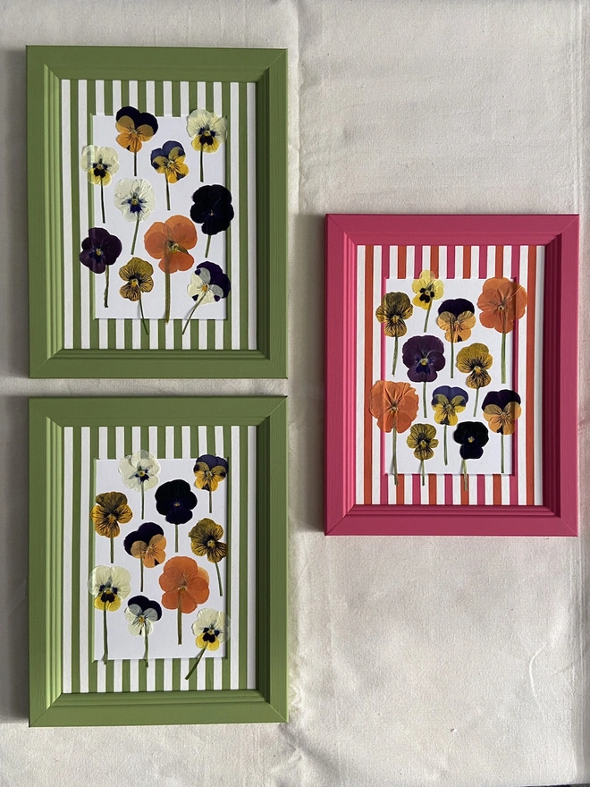 green and pink frames with pressed pansy flowers in them