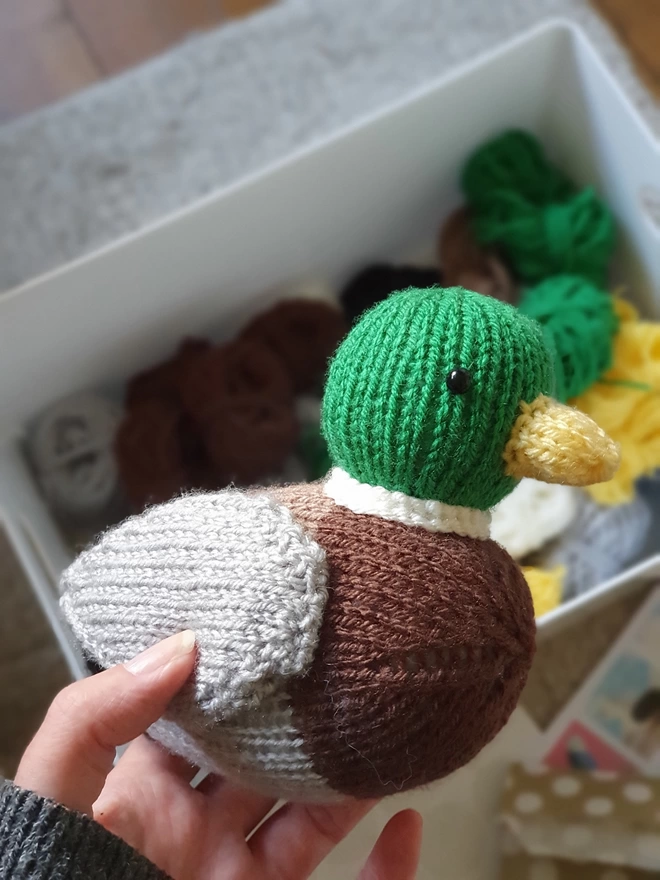 Duck knit kit for beginners