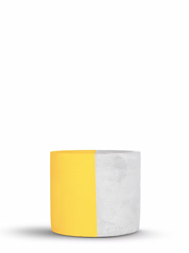 half & half concrete plant pot. a grey concrete plant pot painted half yellow.