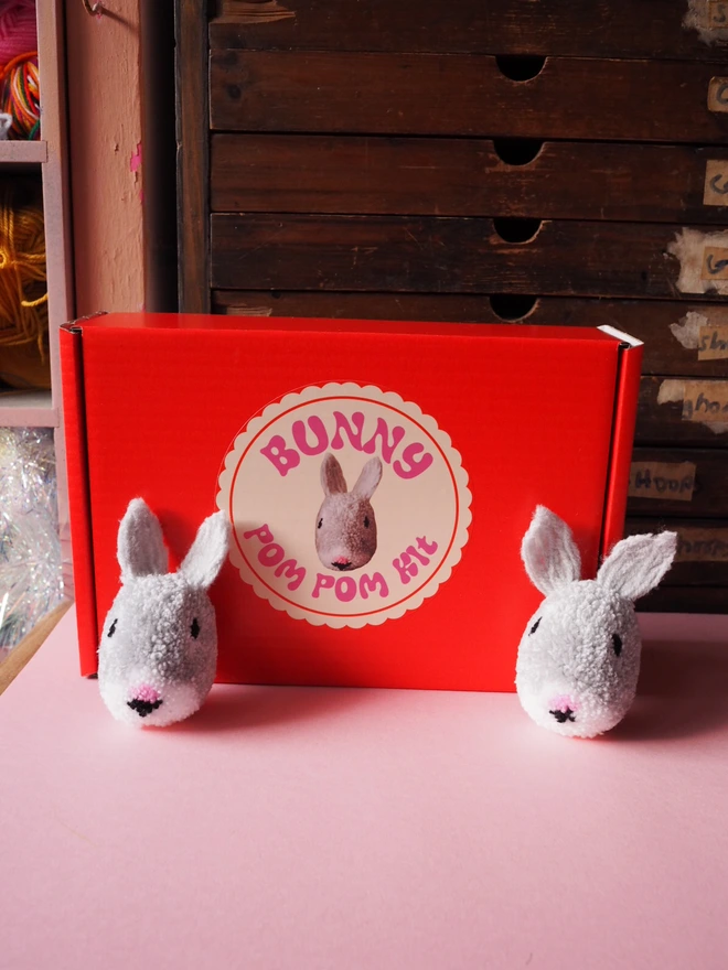 Rabbit Pom Pom Craft kit
