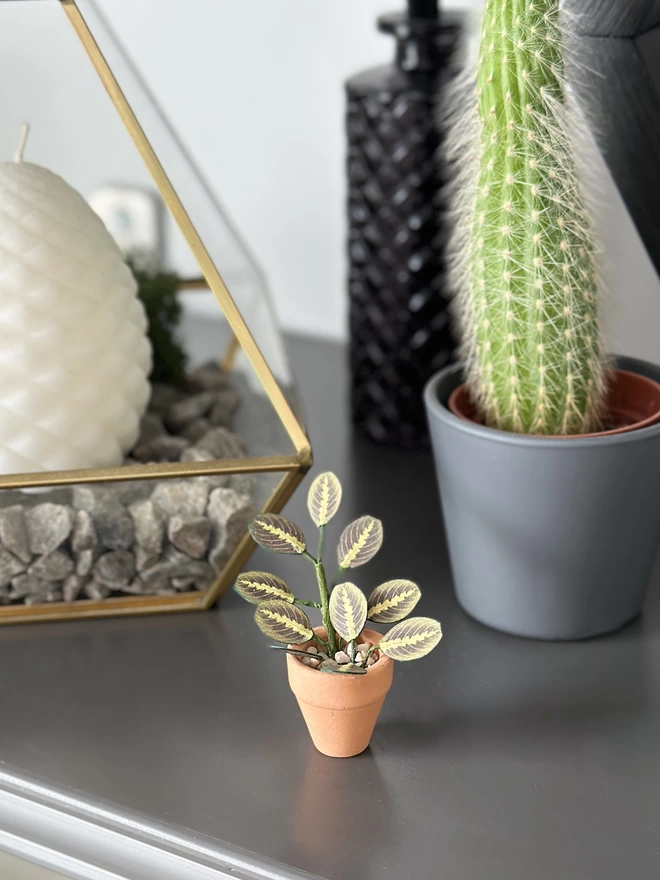 A miniature replica Maranta Prayer Plant paper plant ornament in a terracotta pot sat on a grey shelf with other real plants in the background and gold accessories