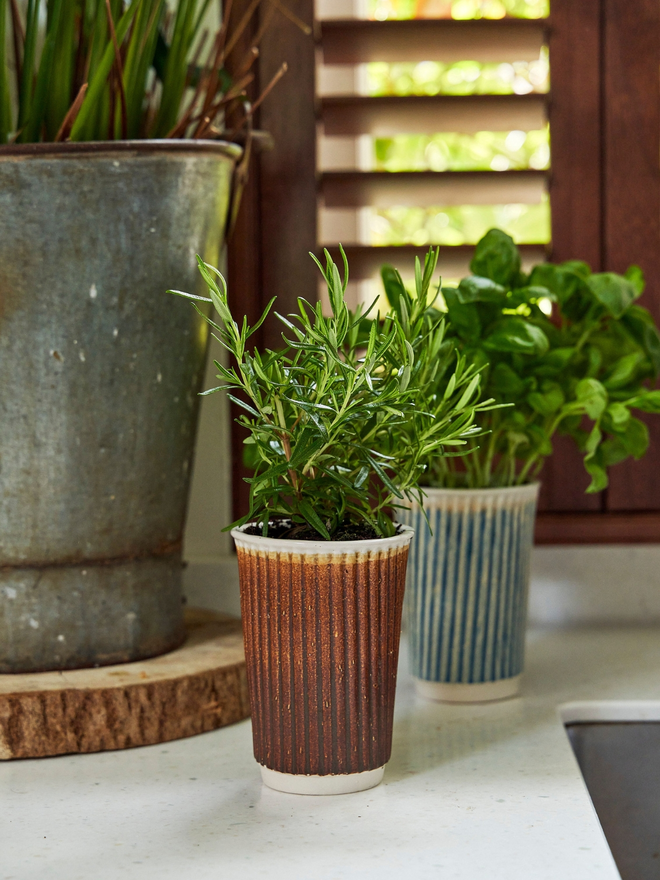 Ceramic Coffee Cup Planter