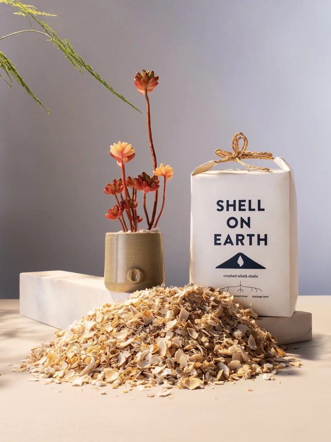 Shell on Earth Mini Bag