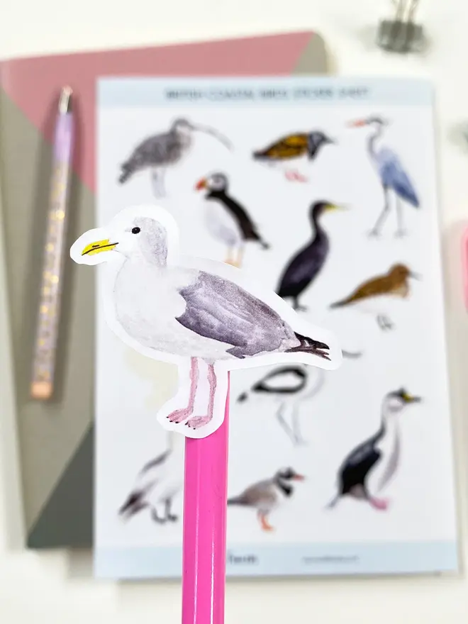 british coastal birds sticker sheet