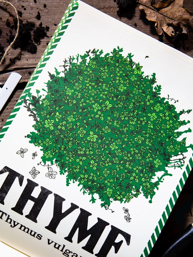 Thyme Illustration Page Spread from Kitchen Herb Garden Perpetual Calendar