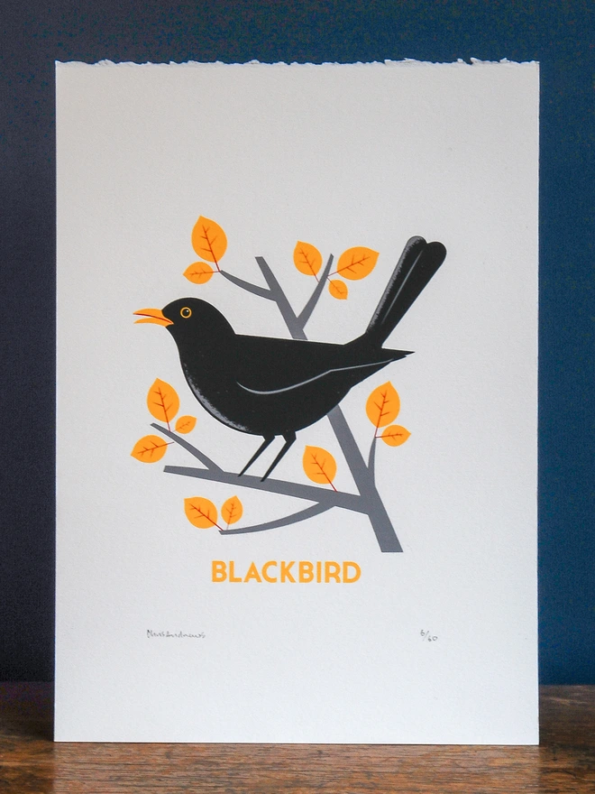 A screenprint of a Blackbird on white paper against a navy blue background.