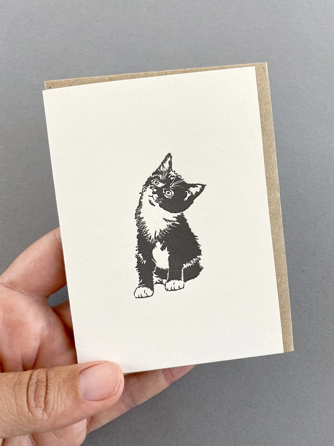 The lovely Molly pussycat on a small card with envelope