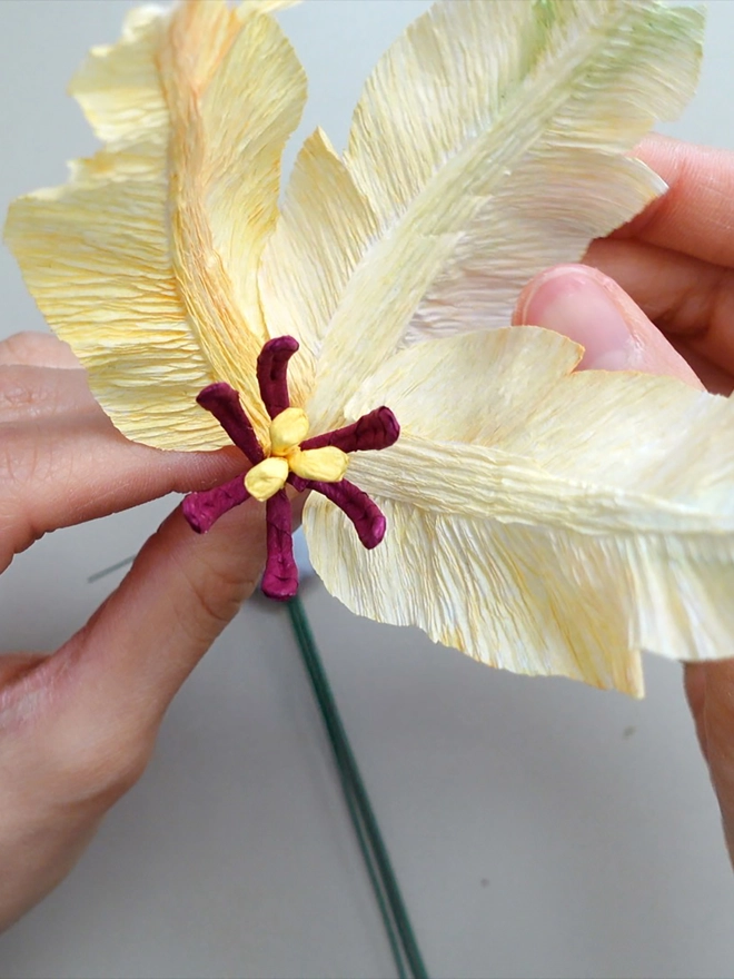 Crepe Paper Parrot Tulip DIY Kit