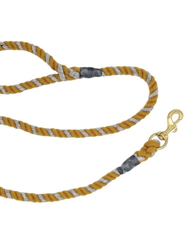 Wool Twist Dog Lead, a wool dog sitting on a white surface.  